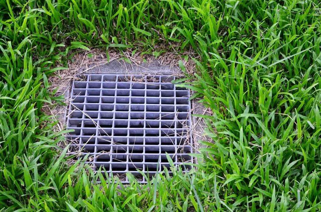 8d2f4fb4 5bd8 4e70 837a d6f7a65a0321