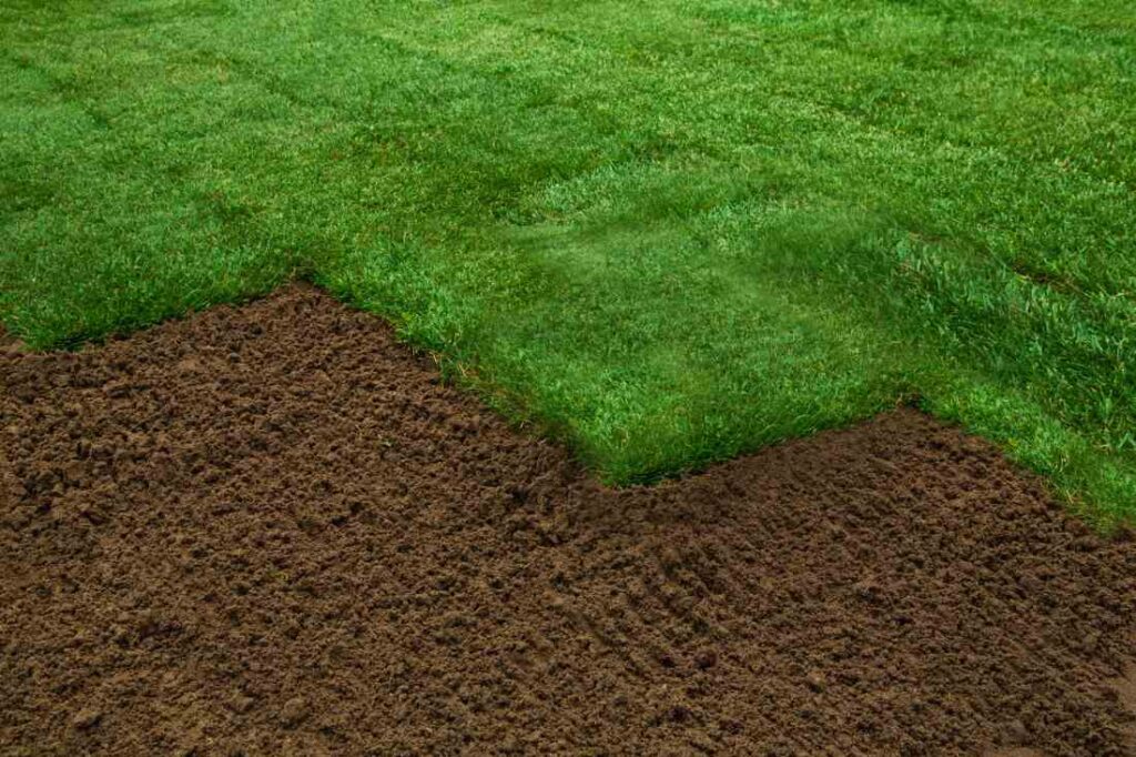 how to prepare for sod installation